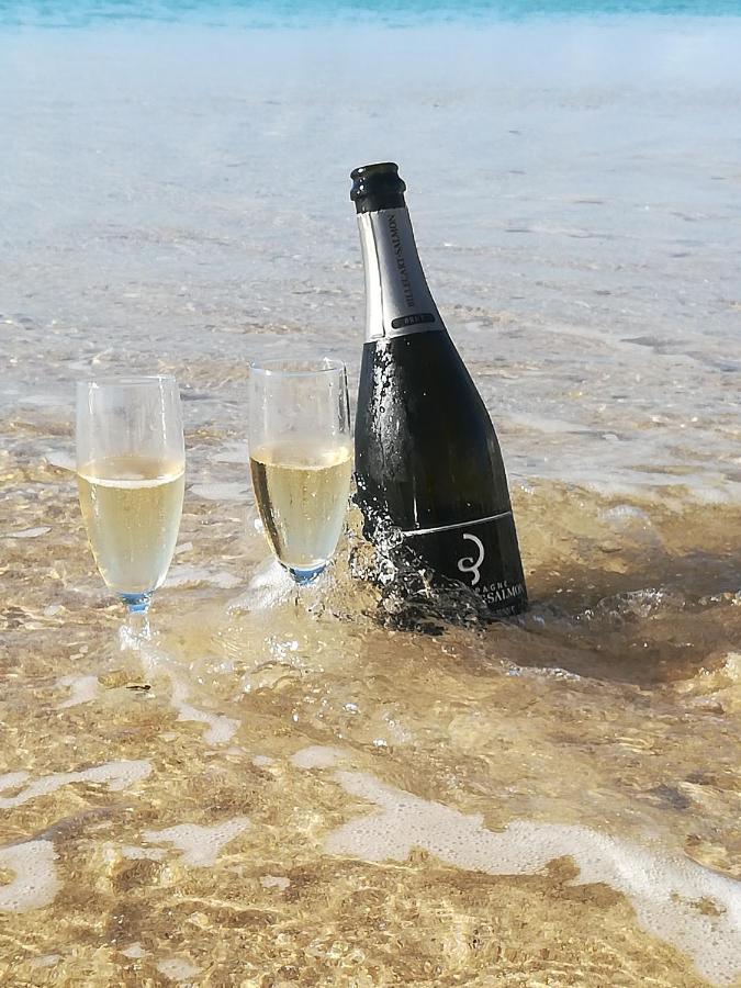Bleu Marine Beach Grand Case Eksteriør billede